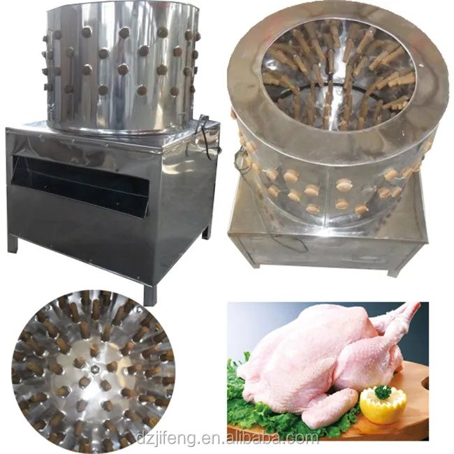 đá gà bị công an bắt phạt bao nhiêu