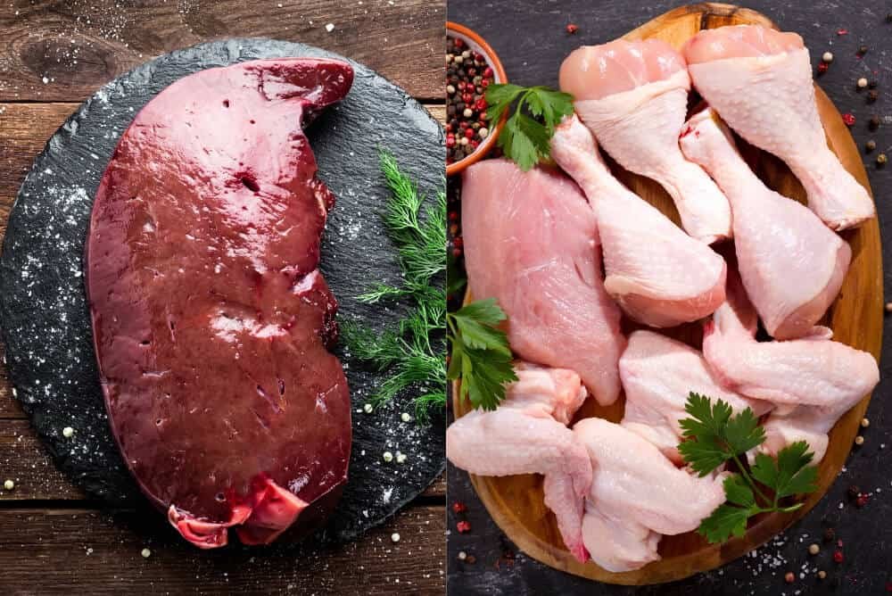 gà nòi đá tiền lớn