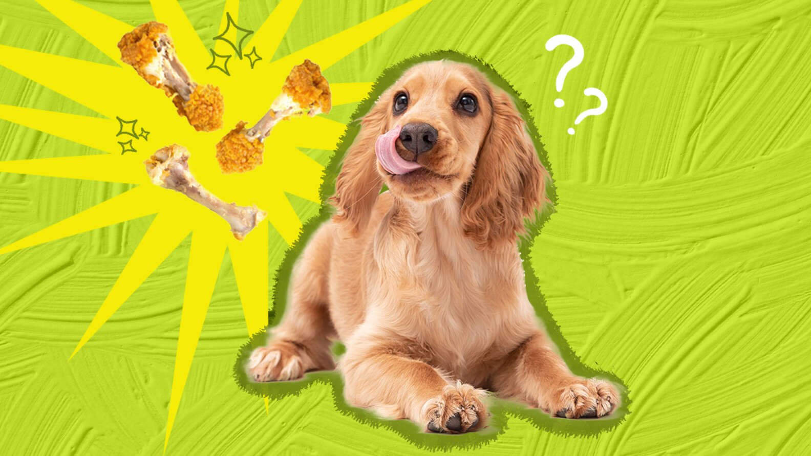 trại gà đá bạc liêu