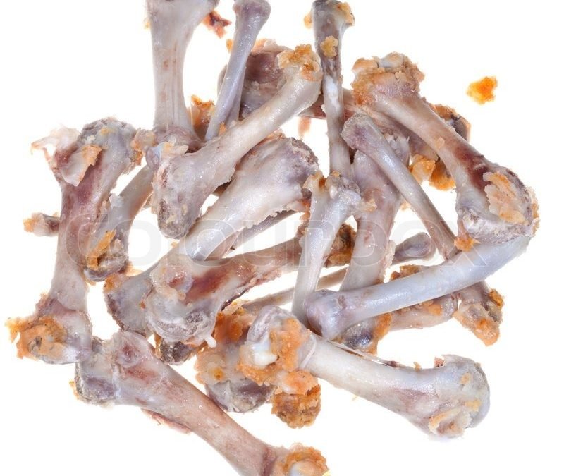 đá gà trực tiếp trường 68