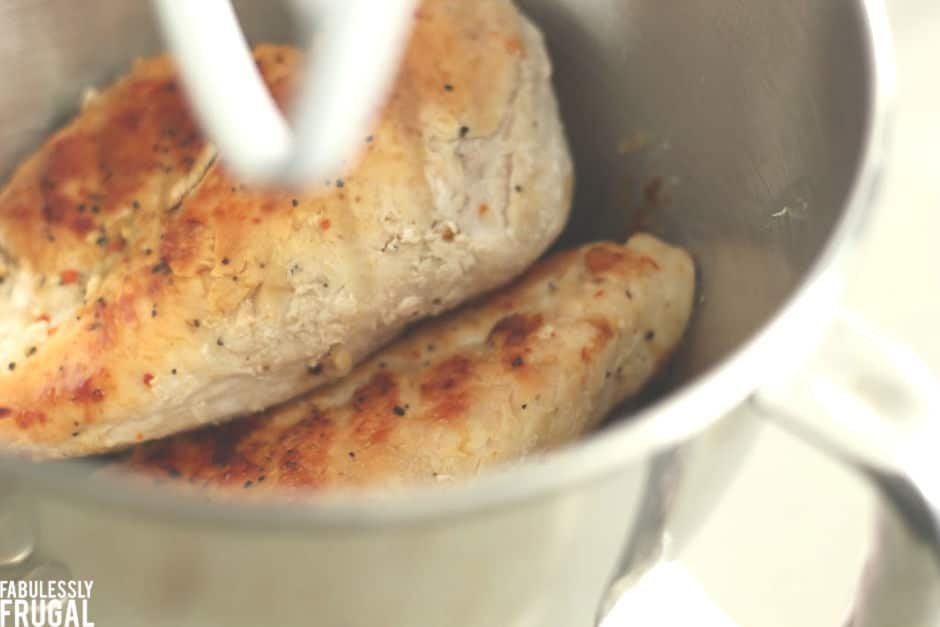 Kỹ thuật nuôi và huấn luyện gà đá cựa sắt hiệu quả